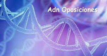 Imagen de Adn Oposiciones