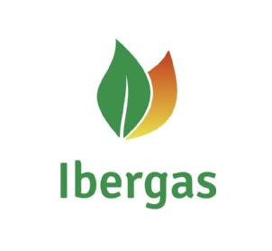 Imagen de Ibergas