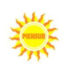 Imagen de PIENSUR