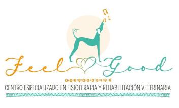 Imagen de FEEL GOOD CENTRO ESPECIALIZADO EN FISIOTERAPIA Y REHABILITACIÓN VETERINARIA