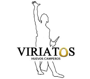 Imagen de VIRIATOS huevos camperos