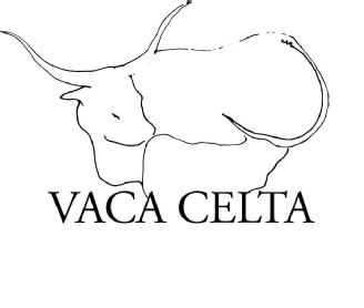 Imagen de Vaca Celta