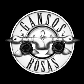 Imagen de Gansos Rosas
