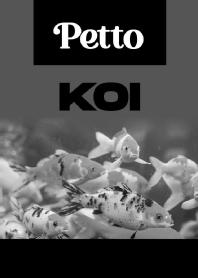 Imagen de PETTO KOI