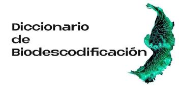 Imagen de DICCIONARIO DE BIODESCODIFICACION