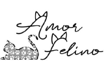 Imagen de Amor Felino