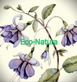 Imagen de Eco-Natura