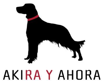 Imagen de Akira y Ahora