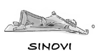 Imagen de SINOVI