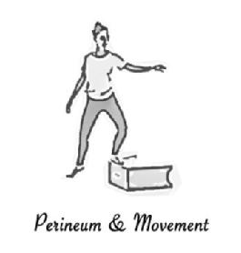 Imagen de Perineum & Movement