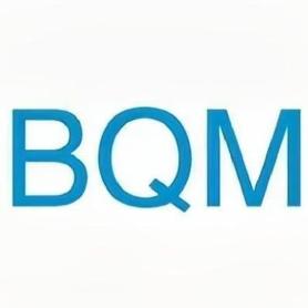 Imagen de BQM