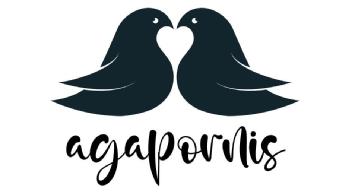 Imagen de agapornis
