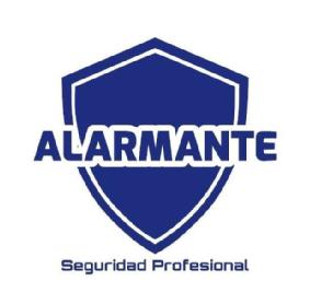 Imagen de Alarmante Seguridad Profesional