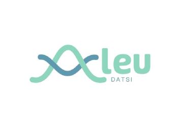 Imagen de ALEU DATSI