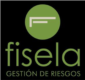 Imagen de FISELA GESTIÓN DE RIESGOS