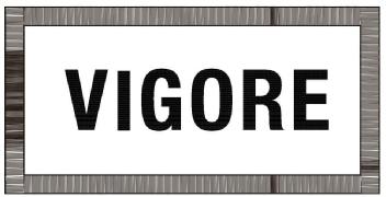 Imagen de VIGORE