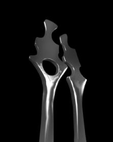 Imagen de La Escultura AMOR de Canarias
