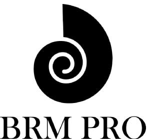Imagen de BRM PRO