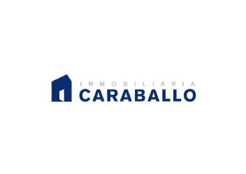 Imagen de INMOBILIARIA CARABALLO