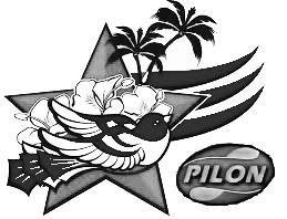 Imagen de PILON