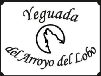 Imagen de YEGUADA DEL ARROYO DEL LOBO