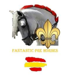 Imagen de FANTASTIC PRE HORSES