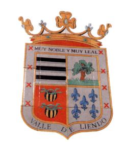 Imagen de EXCELENTISIMO AYUNTAMIENTO DE LIENDO