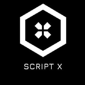 Imagen de SCRIPT X