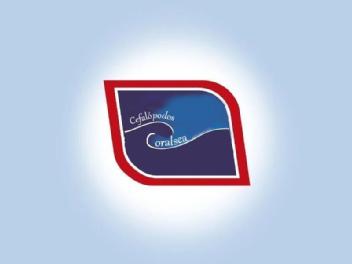 Imagen de CEFALOPODOS ORALSEA