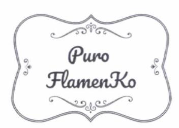 Imagen de PURO FLAMENKO
