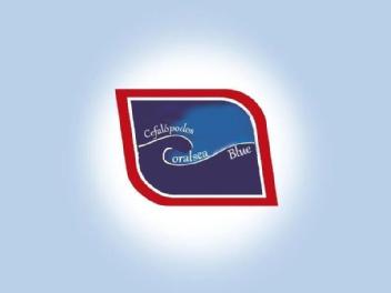 Imagen de CEFALOPODOS ORALSEA BLUE
