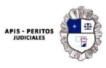 Imagen de APIS - PERITOS JUDICIALES