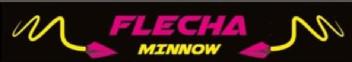 Imagen de FLECHA MINNOW