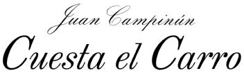 Imagen de JUAN CAMPINÚN CUESTA EL CARRO