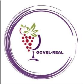 Imagen de GOVEL-REAL