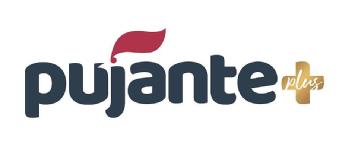 Imagen de PUJANTE PLUS