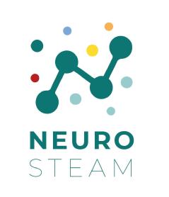 Imagen de NEURO STEAM