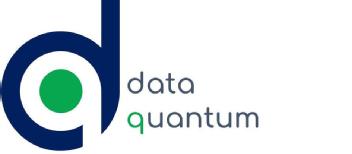 Imagen de data quantum