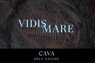 Imagen de VIDIS MARE CAVA BRUT NATURE