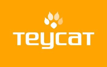 Imagen de TEYCAT