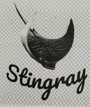 Imagen de STINGRAY