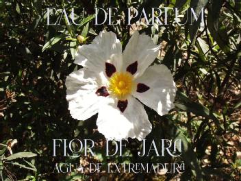 Imagen de FLOR DE JARA. AGUA DE EXTREMADURA