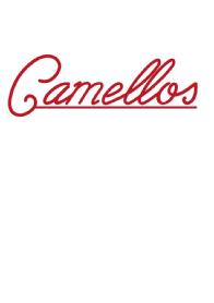 Imagen de Camellos