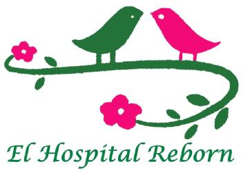 Imagen de El Hospital Reborn