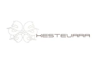 Imagen de Logotipo y tipografía