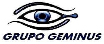 Imagen de GRUPO GEMINUS