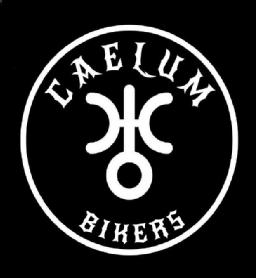 Imagen de CAELUM BIKERS