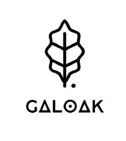 Imagen de GALOAK