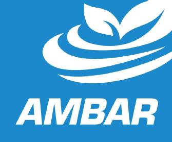 Imagen de AMBAR