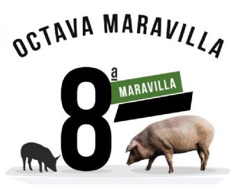 Imagen de OCTAVA MARAVILLA 8a MARAVILLA